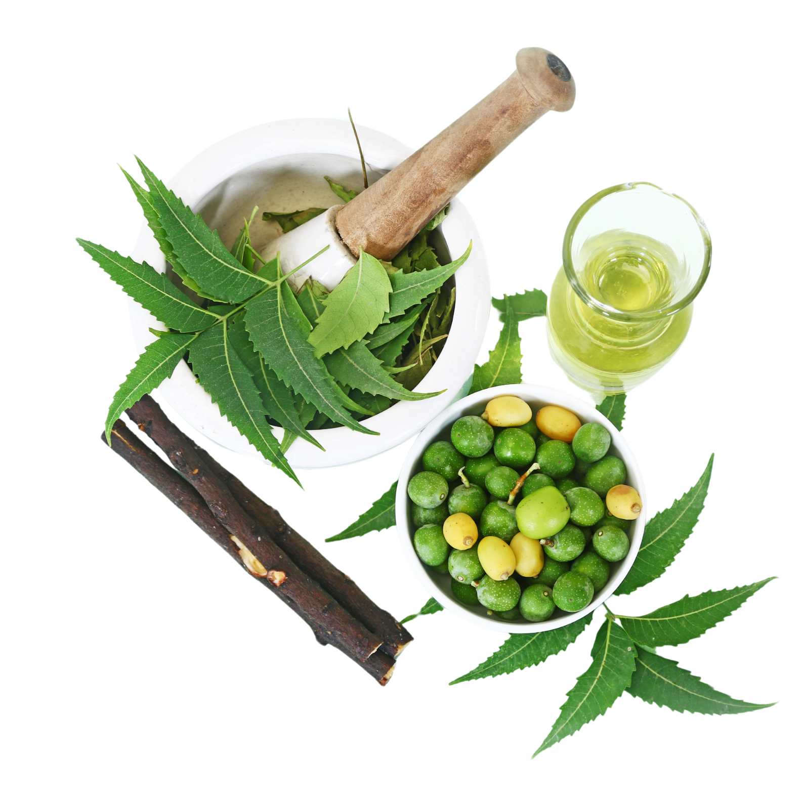 Neem
